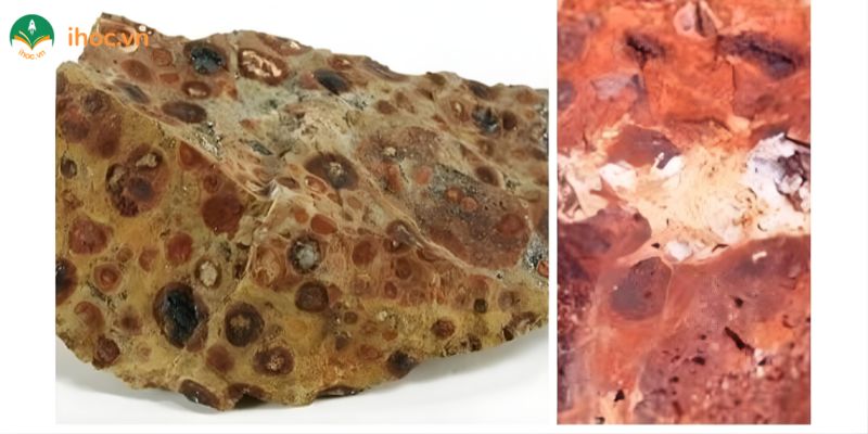 Công thức quặng boxit là gì? Thành phần, cấu trúc, ứng dụng