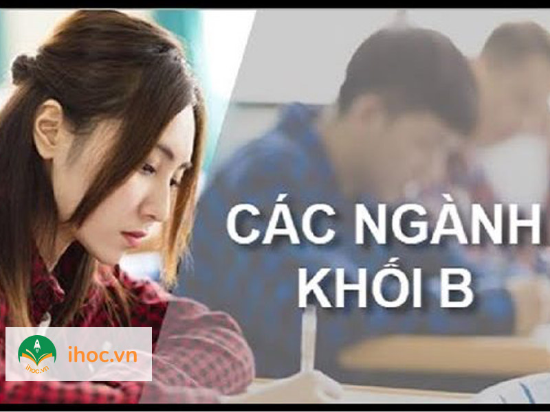 Top 5 ngành học khối B ra trường dễ xin việc hiện nay